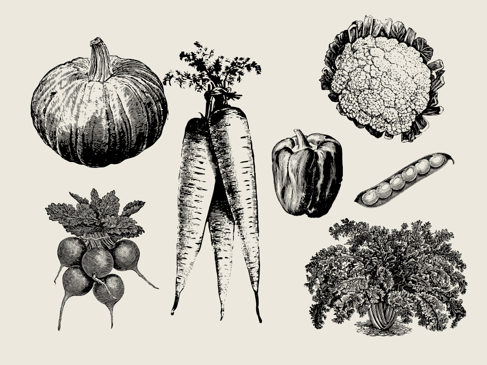 illustrated images for vegetables