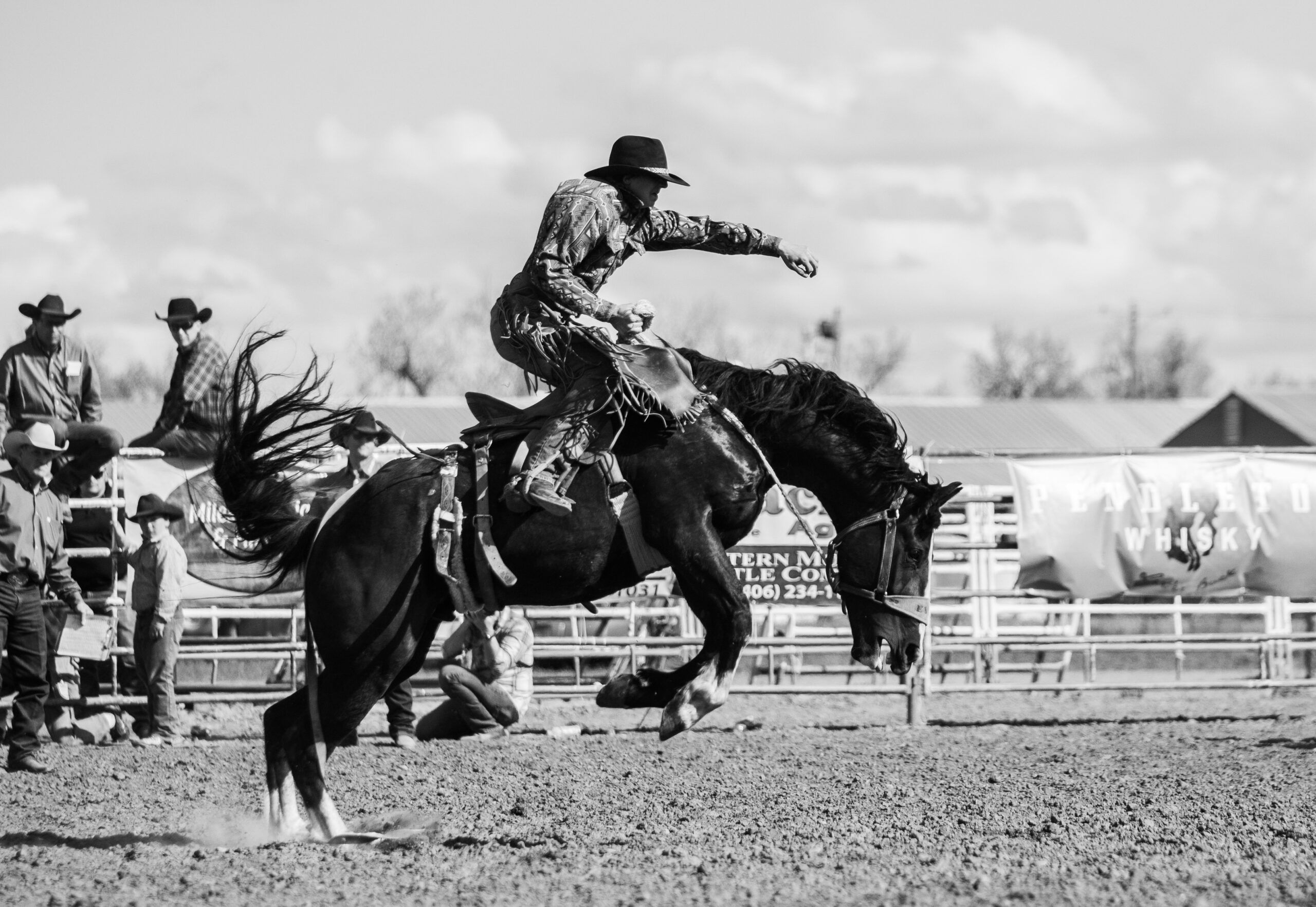 Black and white image of a cowboy riding a bucking bronco at a rodeo