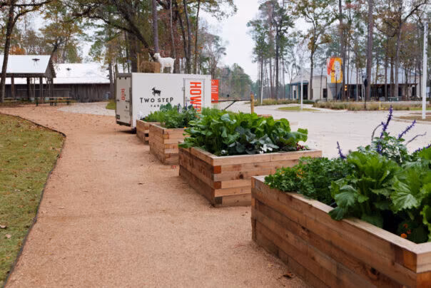 Raised wooden garden beds with leafy greens line a gravel path near a sign reading "Two Step" and "Houston," set against buildings and trees, just steps from The Grazery restaurant at Two Step Farm.